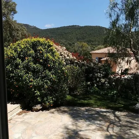 Spacieux Studio Proche De La Plage Le Lavandou